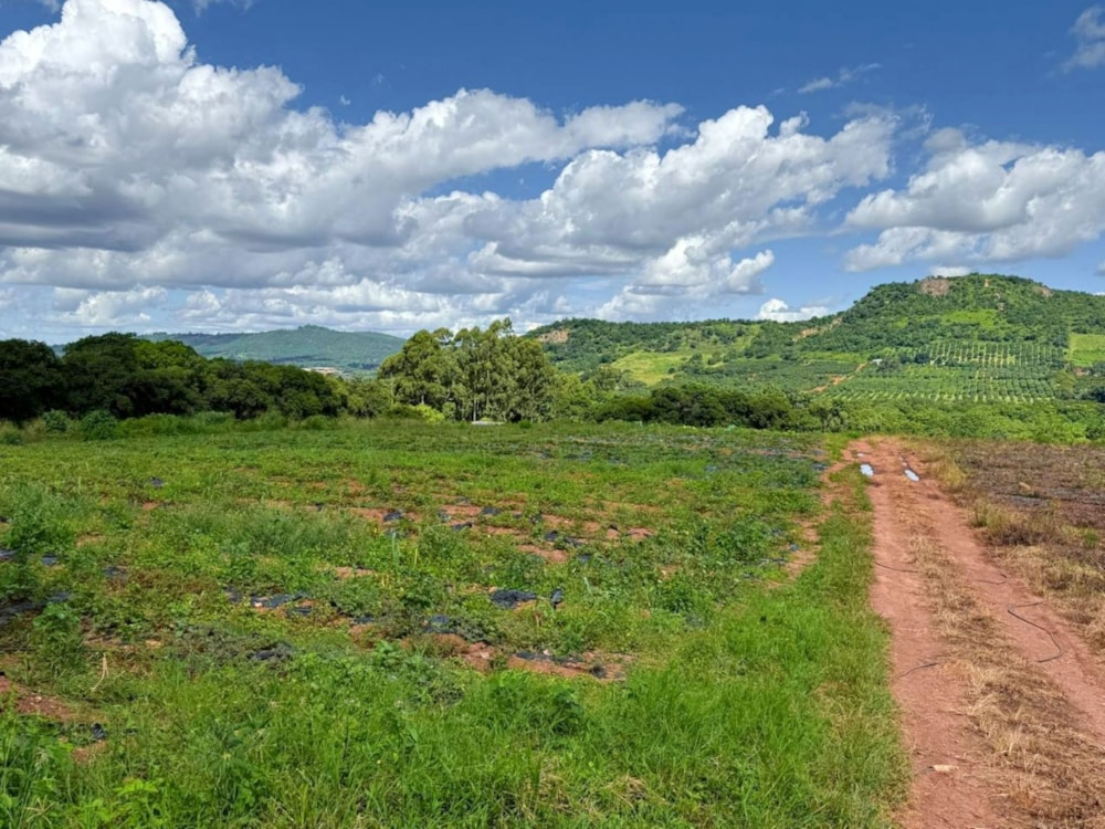 Farm vacant land for sale in Tzaneen, Limpopo Province - 1TA1693708