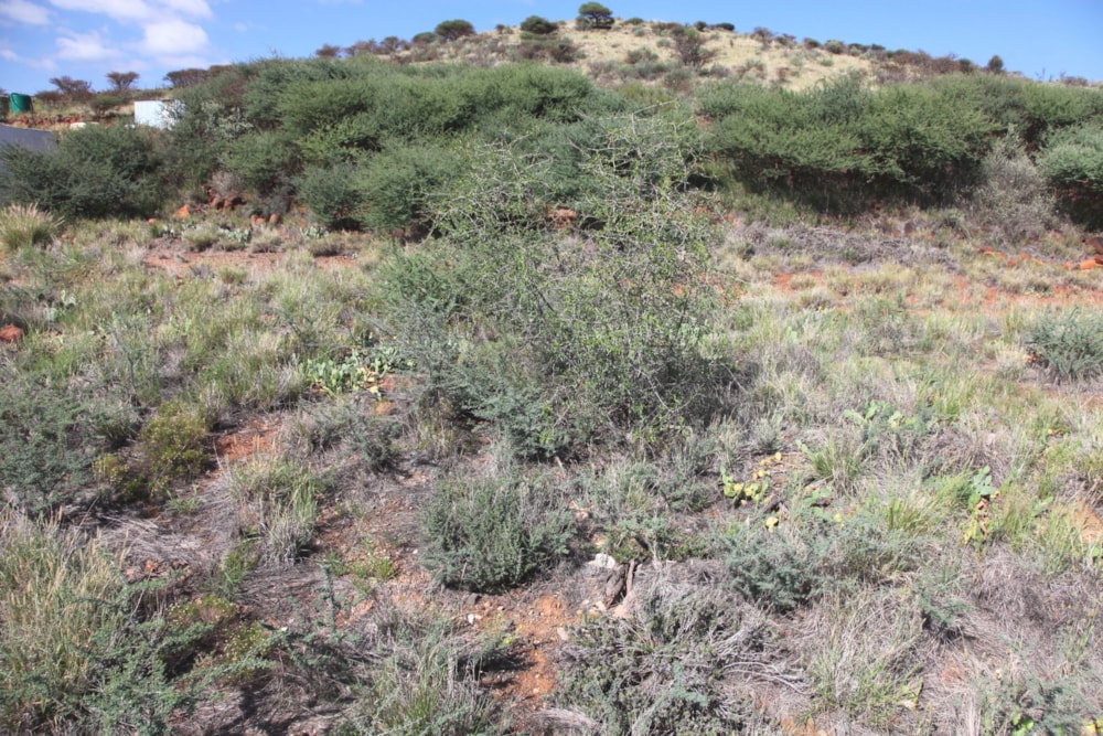 Vacant land sold in Vanderkloof - 1KK1693790 Vacant land sold in Vanderkloof - 1KK1693790