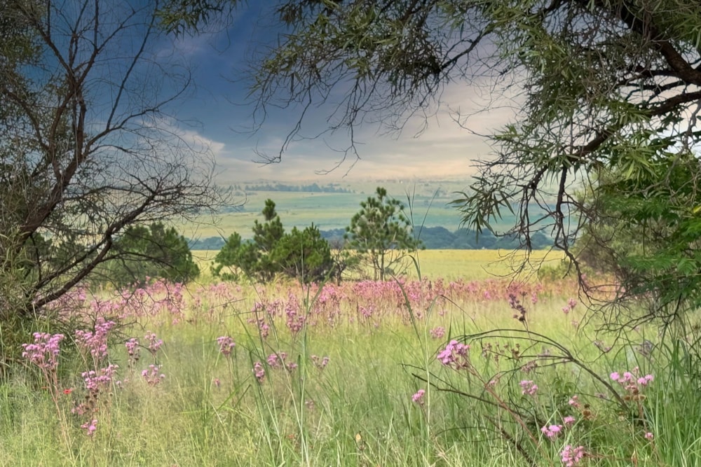 Farm vacant land for sale in Lanseria - FW1693771 Farm vacant land for sale in Lanseria - FW1693771