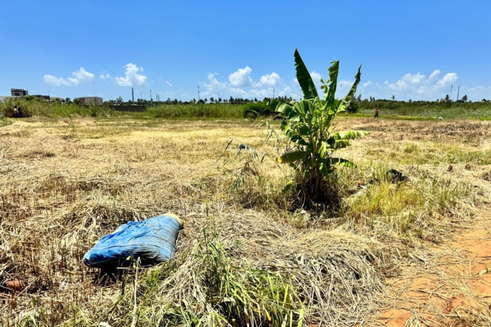 Vacant land for investment in Costa do Sol , Mozambique - 3MQ1693967