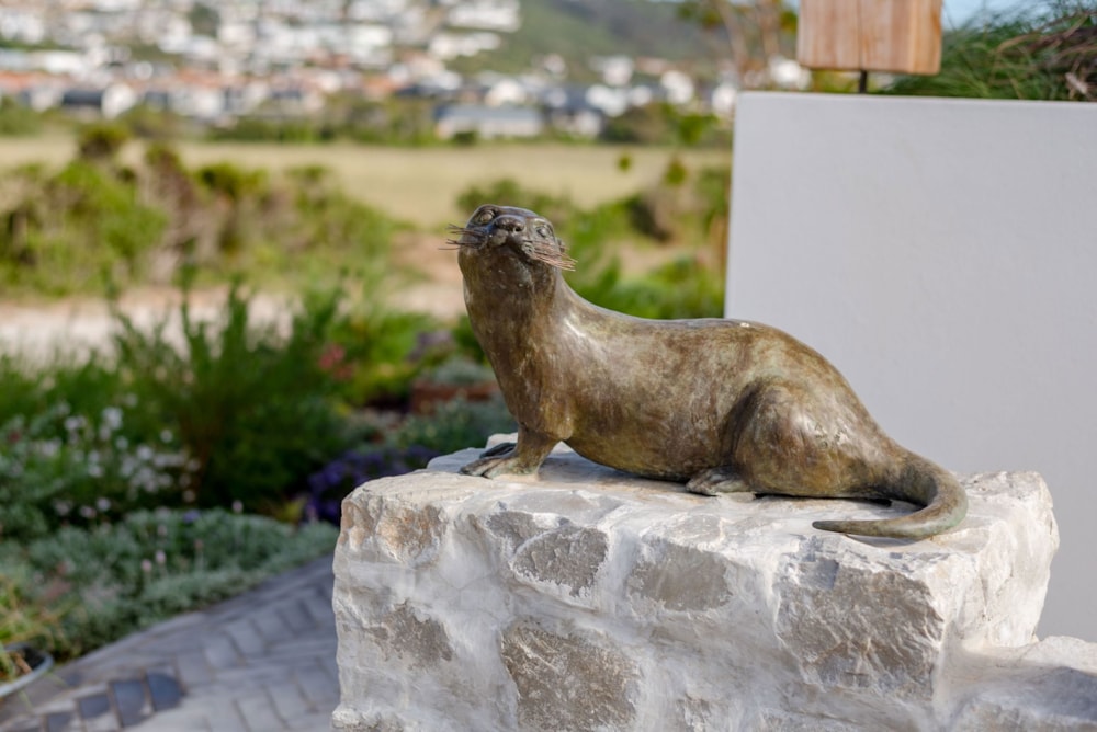 Vacant land for sale in Solar Beach - 1KG1694204 Vacant land for sale in Solar Beach - 1KG1694204