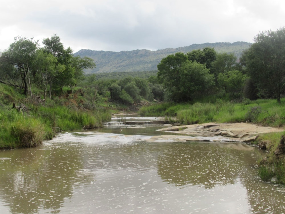 Mixed use farm for sale in Cathcart, Eastern Cape - 1GC1694261 Mixed use farm for sale in Cathcart, Eastern Cape - 1GC1694261