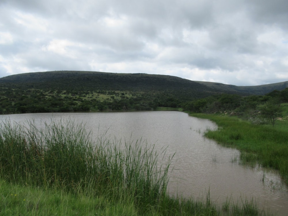 Mixed use farm for sale in Cathcart, Eastern Cape - 1GC1694261 Mixed use farm for sale in Cathcart, Eastern Cape - 1GC1694261