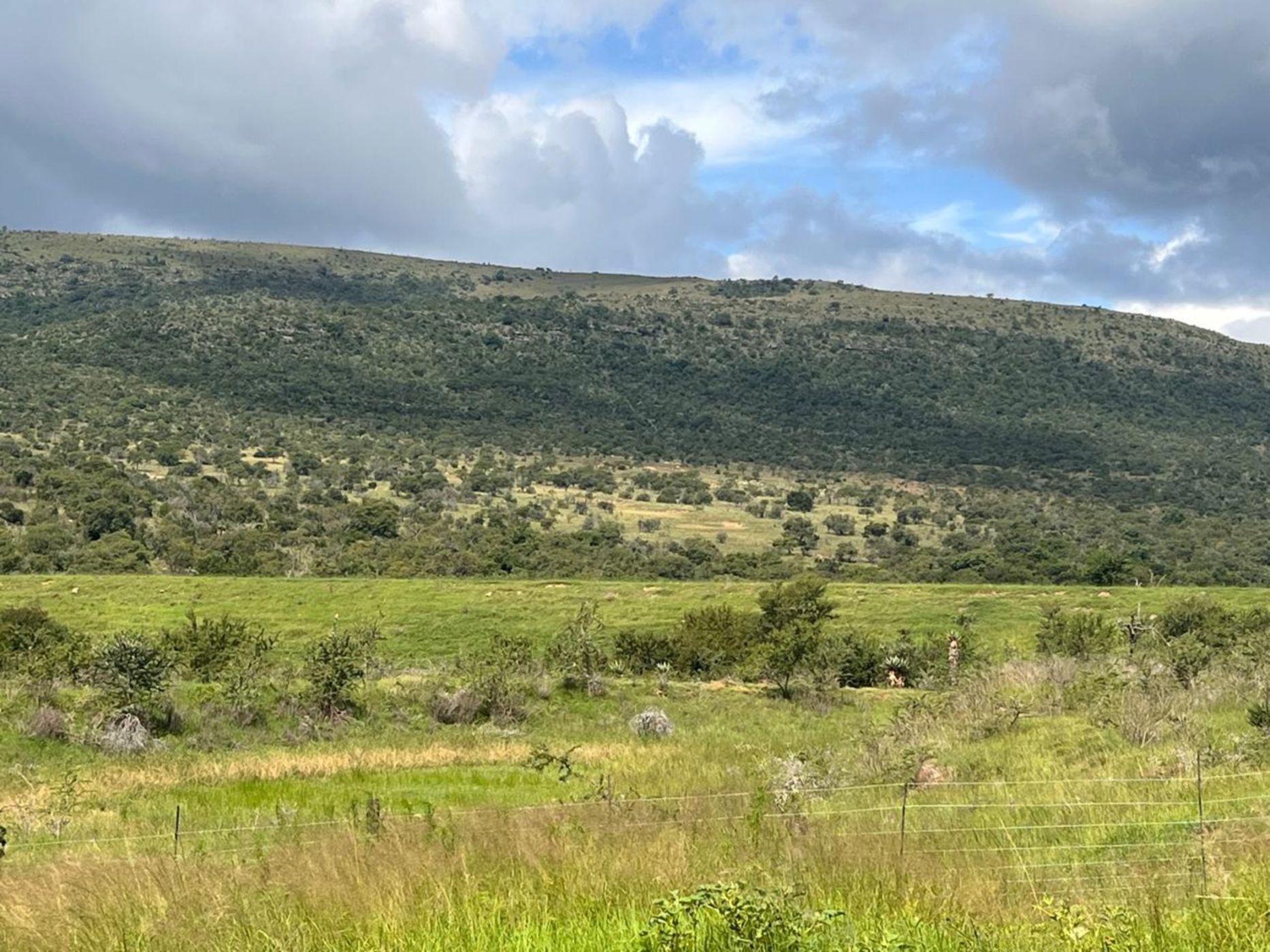 Mixed use farm for sale in Cathcart, Eastern Cape - 1GC1694261