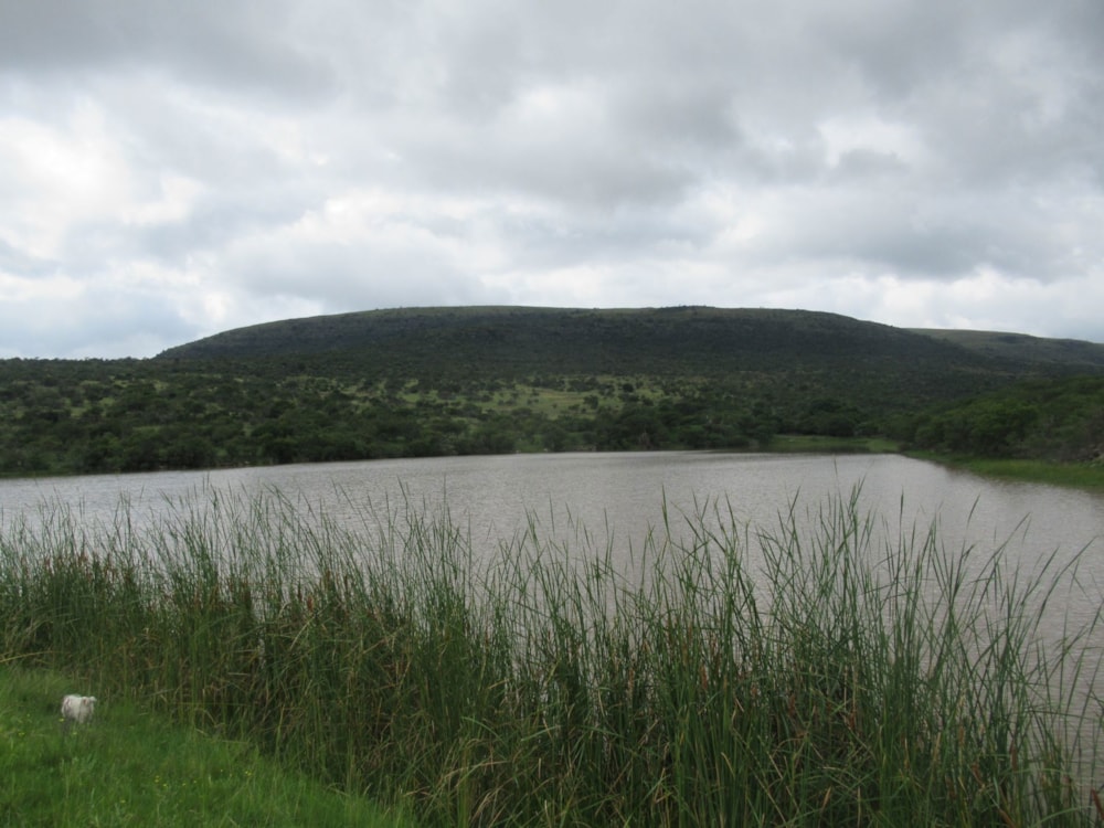 Mixed use farm for sale in Cathcart, Eastern Cape - 1GC1694261 Mixed use farm for sale in Cathcart, Eastern Cape - 1GC1694261