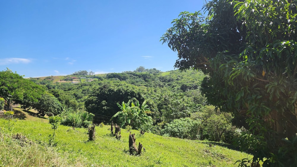 Residential vacant land sold in Marburg - 1PSH1695207 Residential vacant land sold in Marburg - 1PSH1695207