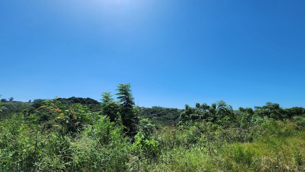 Residential vacant land sold in Marburg - 1PSH1695207 Residential vacant land sold in Marburg - 1PSH1695207