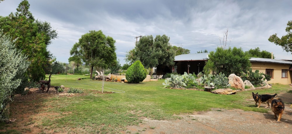 House for sale in Kimberley - 1KJ1694389 House for sale in Kimberley - 1KJ1694389