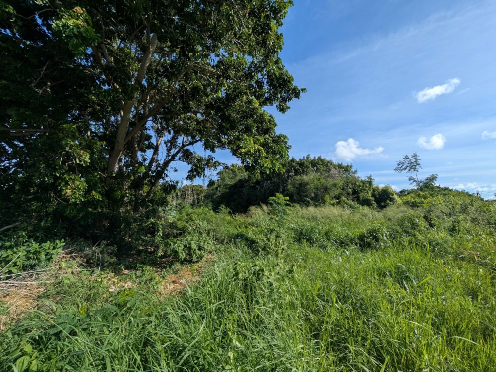 Vacant land for sale in Grand Gaube, Mauritius - MPR1694446 Vacant land for sale in Grand Gaube, Mauritius - MPR1694446