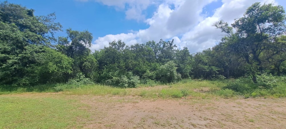 Vacant land sold in Phalaborwa - 1PW1694513 Vacant land sold in Phalaborwa - 1PW1694513