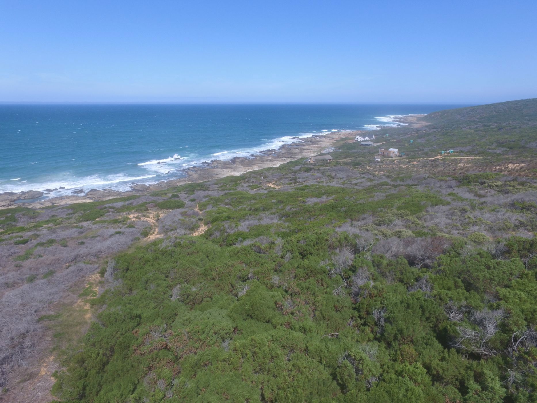Fynbos farm for sale in Stilbaai Rural - 1SR1695275