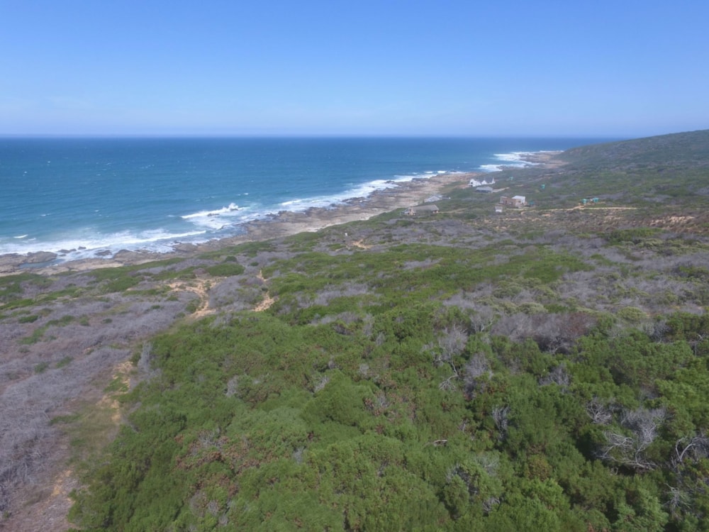 Fynbos farm for sale in Stilbaai Rural - 1SR1695275 Fynbos farm for sale in Stilbaai Rural - 1SR1695275