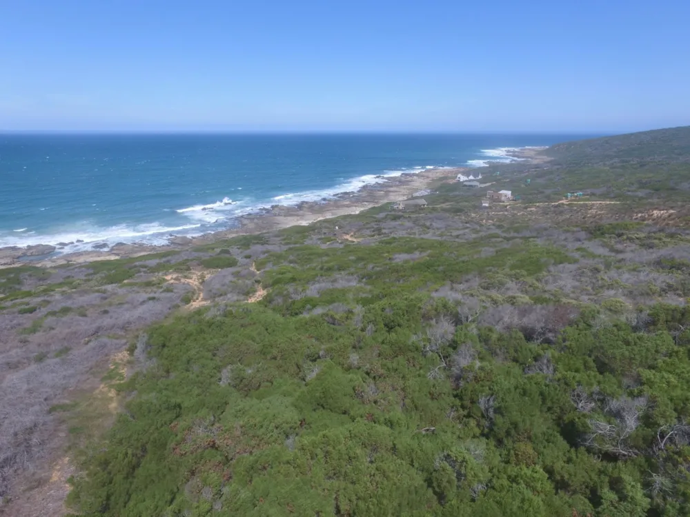 Fynbos farm sold in Stilbaai Rural - 1SR1695275 Fynbos farm sold in Stilbaai Rural - 1SR1695275