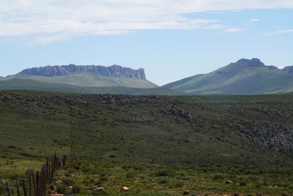 Livestock farm for sale in Graaff-Reinet Rural - 1KK1694769 Livestock farm for sale in Graaff-Reinet Rural - 1KK1694769