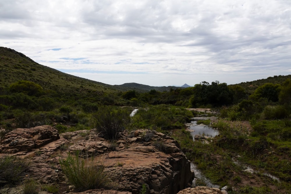 Livestock farm for sale in Graaff-Reinet Rural - 1KK1694769 Livestock farm for sale in Graaff-Reinet Rural - 1KK1694769