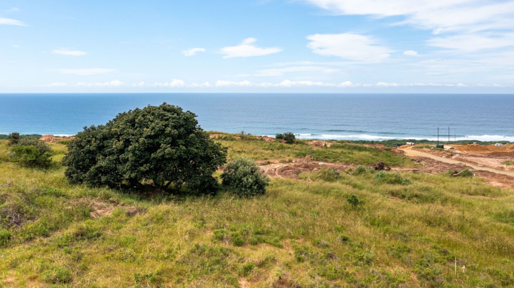 Residential vacant land for sale in Seaton Estate - 1BD1694957 Residential vacant land for sale in Seaton Estate - 1BD1694957