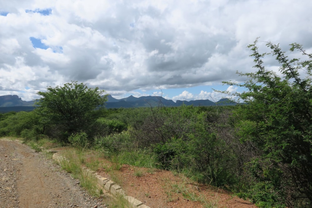 Game farm for sale in Thabazimbi - 1ER1695086