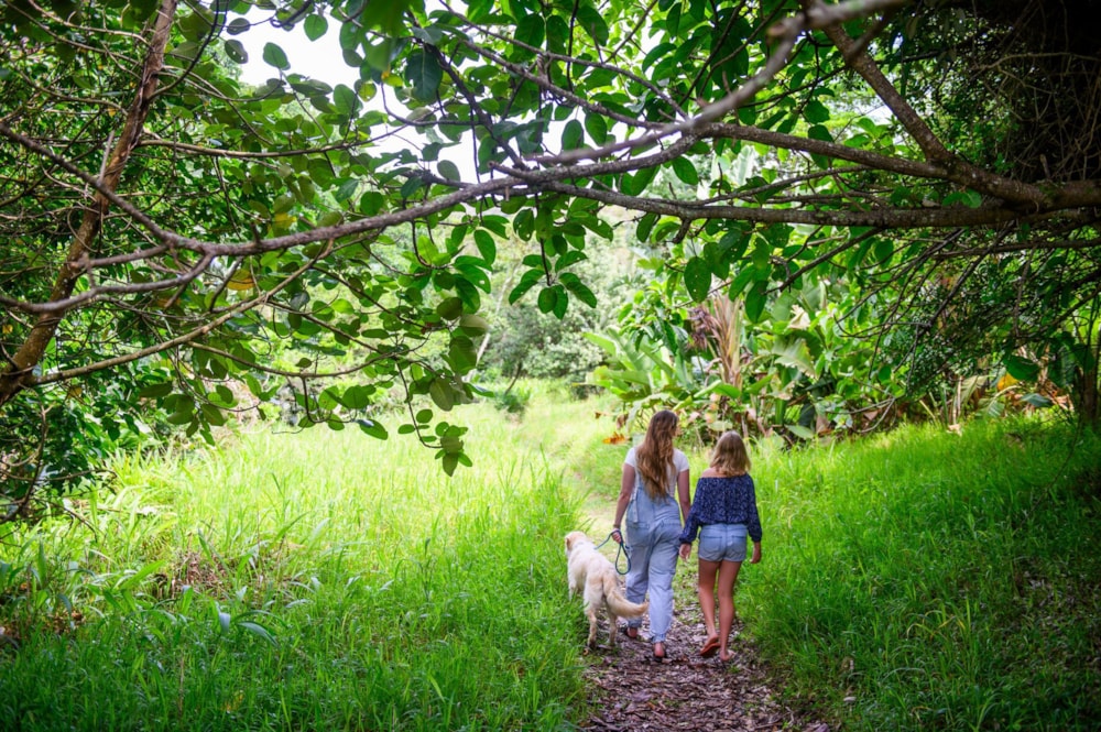 Residential vacant land for sale in Salt Rock - 1BD1695116