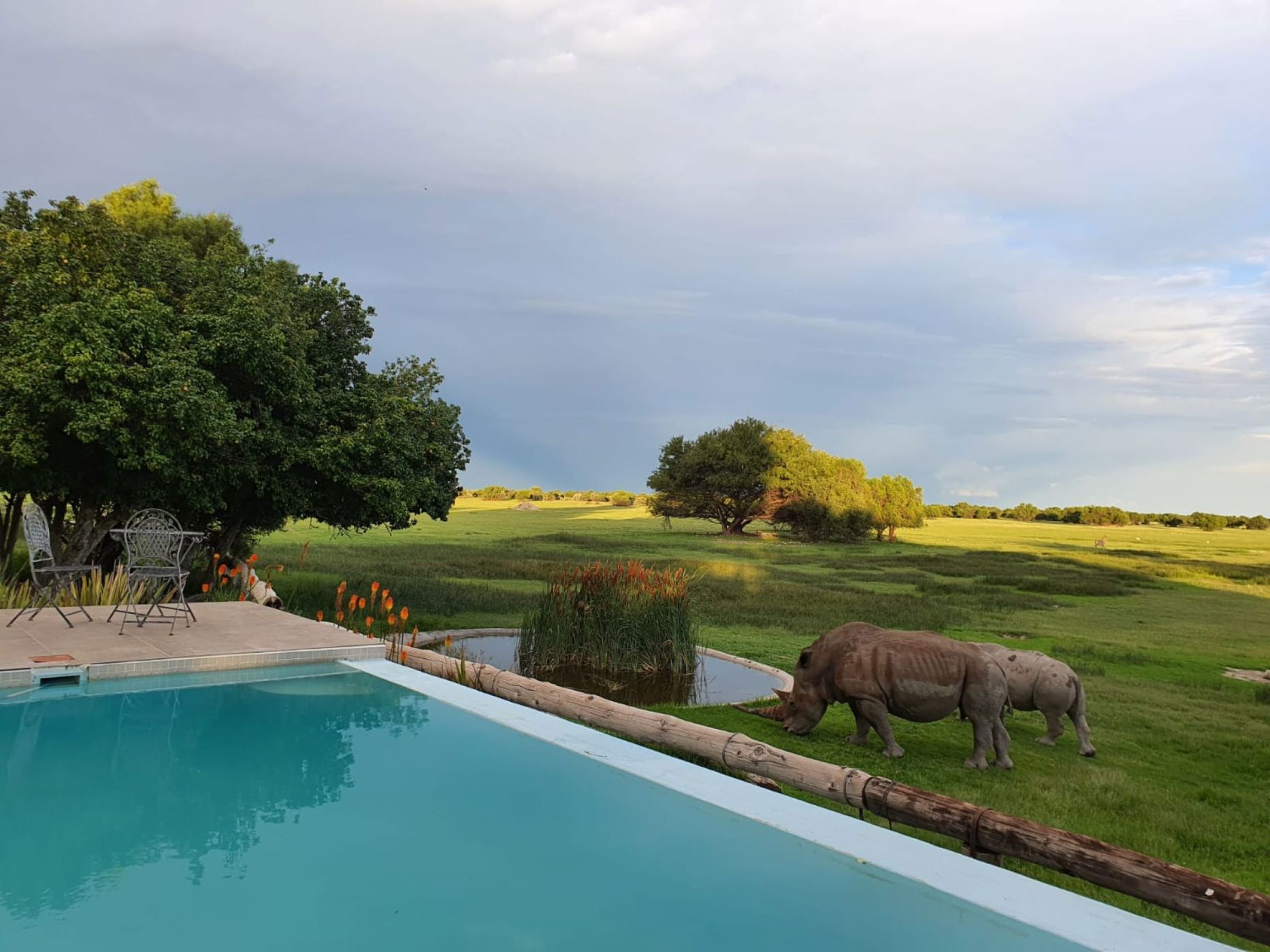 Game farm for sale in Danielskuil - 1RN1695133