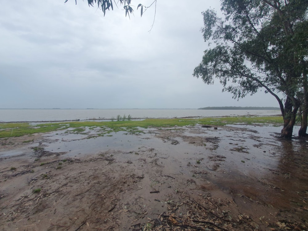 Farm vacant land for sale in Grootvlei, Mpumalanga - 1VT1695144