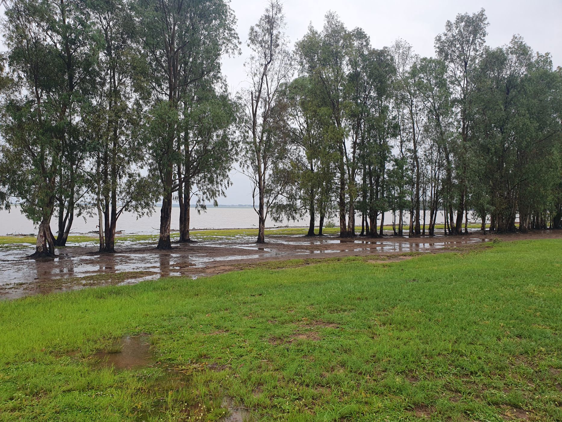 Farm vacant land for sale in Grootvlei, Mpumalanga - 1VT1695144