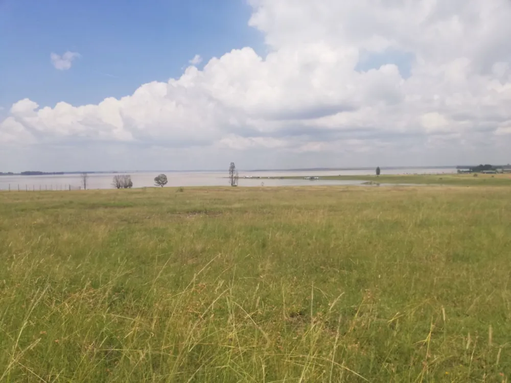 Farm vacant land for sale in Vaal Dam, Free State - 1VT1695154
