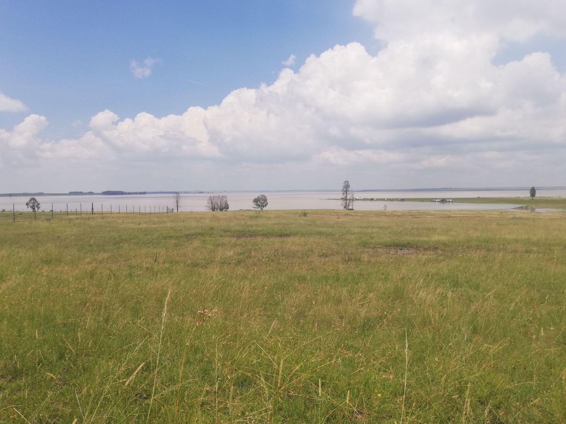 Farm vacant land for sale in Vaal Dam, Free State - 1VT1695154