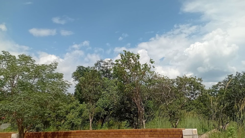 Vacant land for sale in Silverest, Zambia - 3ZA1695160