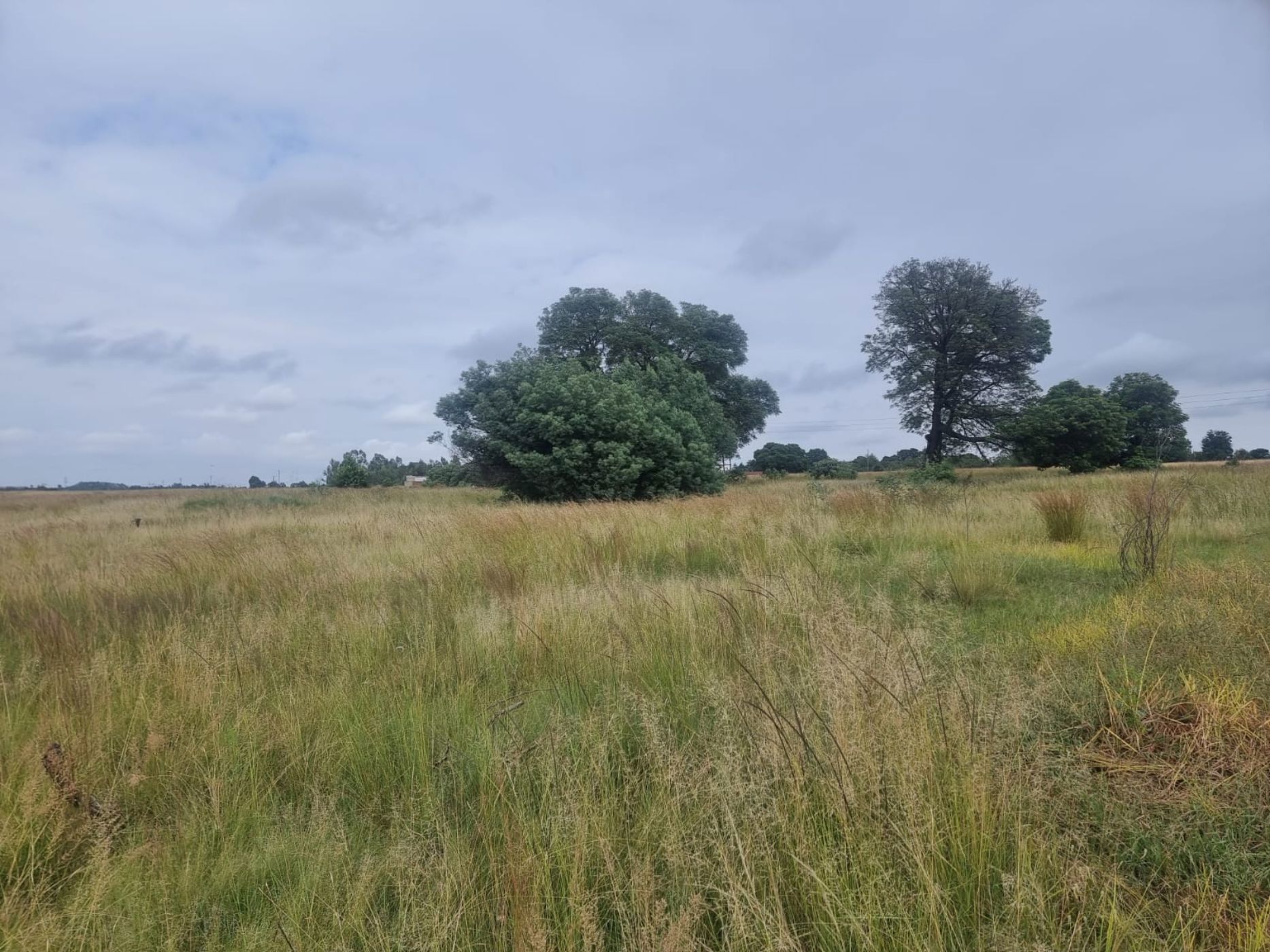 Vacant land for sale in Kromdraai, Witbank, eMalahleni - 1WD1695285