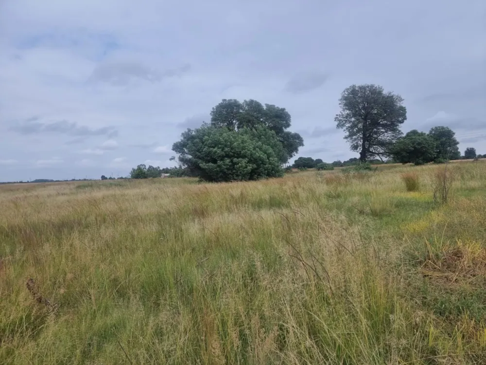 Vacant land for sale in Kromdraai, Witbank, eMalahleni - 1WD1695285