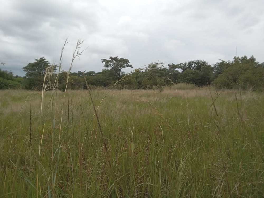 Vacant land for sale in Koro Creek Golf Estate - 1MDM1695612