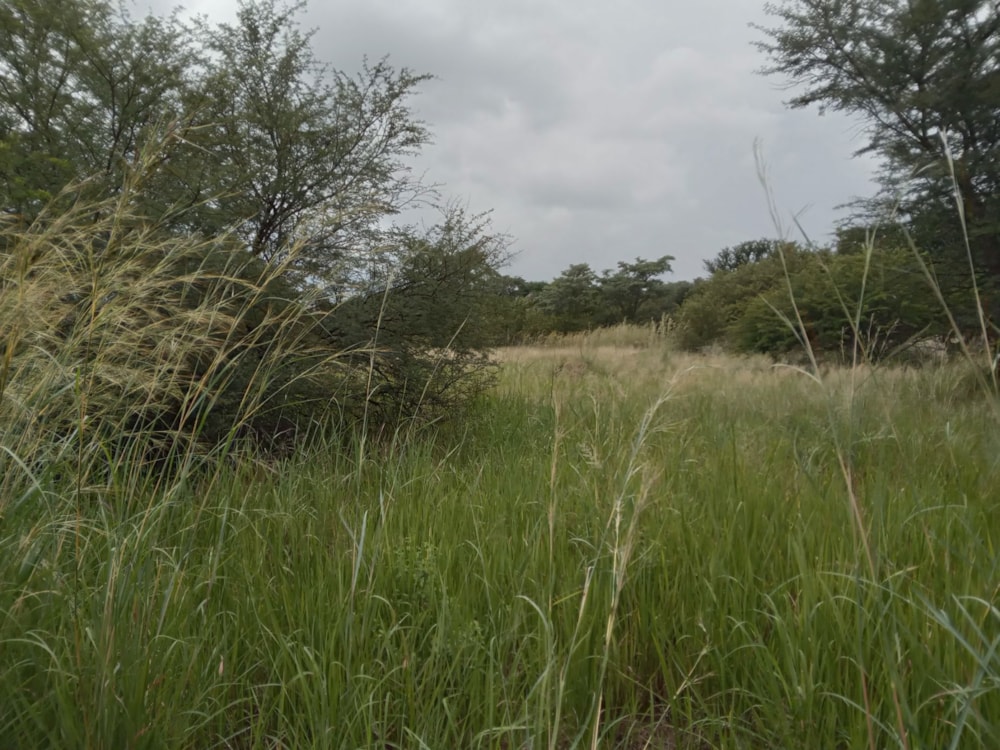 Vacant land for sale in Koro Creek Golf Estate - 1MDM1695612 Vacant land for sale in Koro Creek Golf Estate - 1MDM1695612