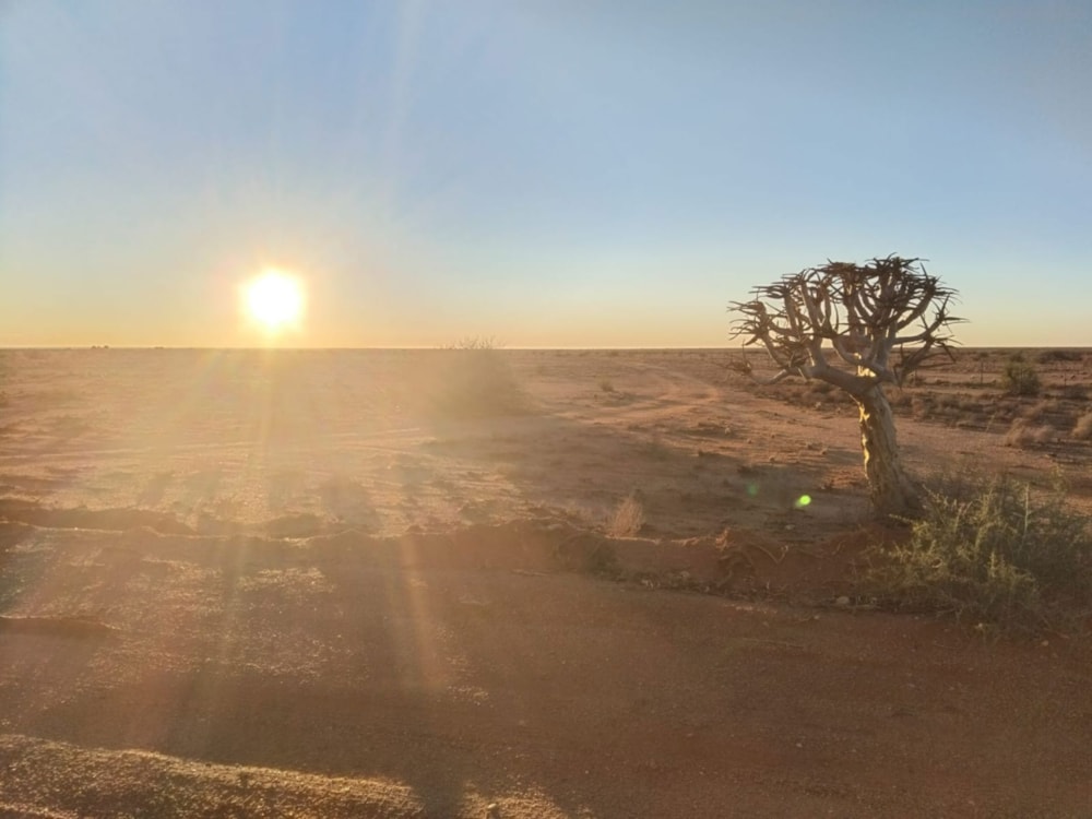 Livestock farm for sale in Kakamas - 1KAH1695723