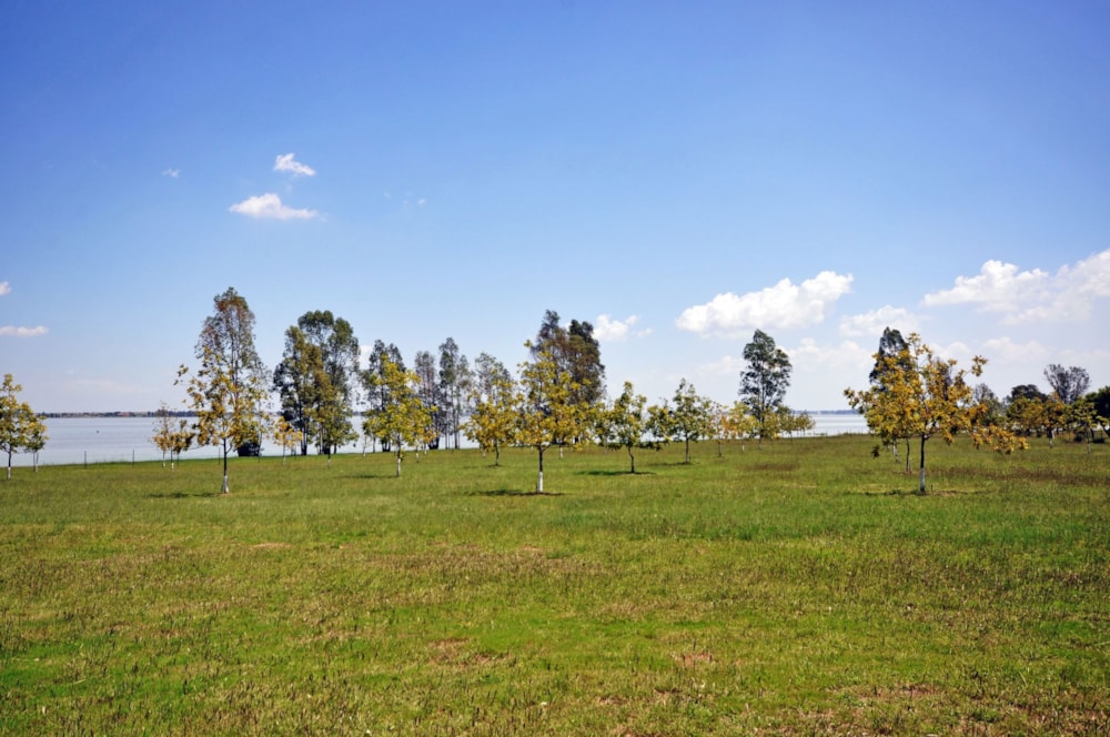 Lifestyle property for sale in Vaal Dam, Gauteng - 1VT1701723