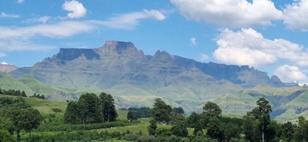 House for sale in Cathkin Park - 1PM1696046