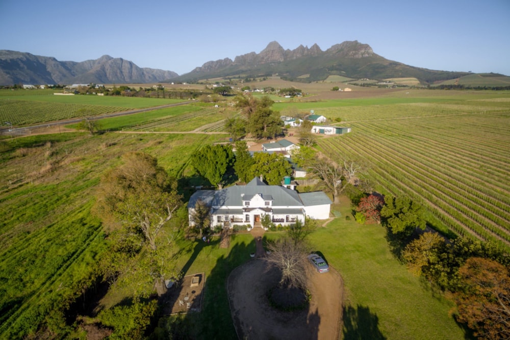 Wine farm for sale in Stellenbosch Farms - ST1696156 Wine farm for sale in Stellenbosch Farms - ST1696156
