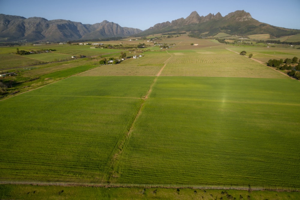 Wine farm for sale in Stellenbosch Farms - ST1696156 Wine farm for sale in Stellenbosch Farms - ST1696156