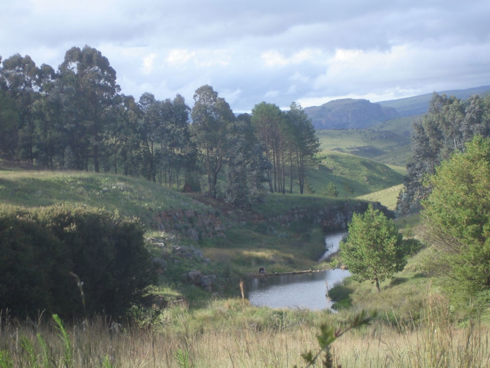 Mixed use farm for sale in Dullstroom - 1DS1695654 Mixed use farm for sale in Dullstroom - 1DS1695654