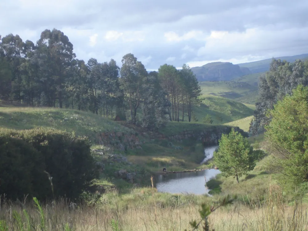 Mixed use farm sold in Dullstroom - 1DS1695654 Mixed use farm sold in Dullstroom - 1DS1695654