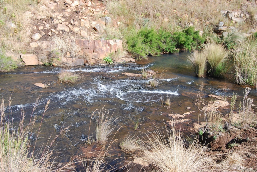 Mixed use farm for sale in Dullstroom - 1DS1695654 Mixed use farm for sale in Dullstroom - 1DS1695654