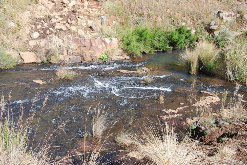 Mixed use farm sold in Dullstroom - 1DS1695654 Mixed use farm sold in Dullstroom - 1DS1695654