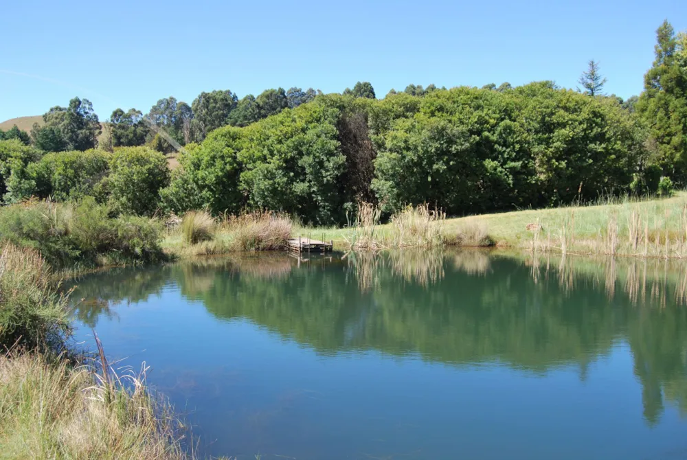 Mixed use farm sold in Dullstroom - 1DS1695654 Mixed use farm sold in Dullstroom - 1DS1695654