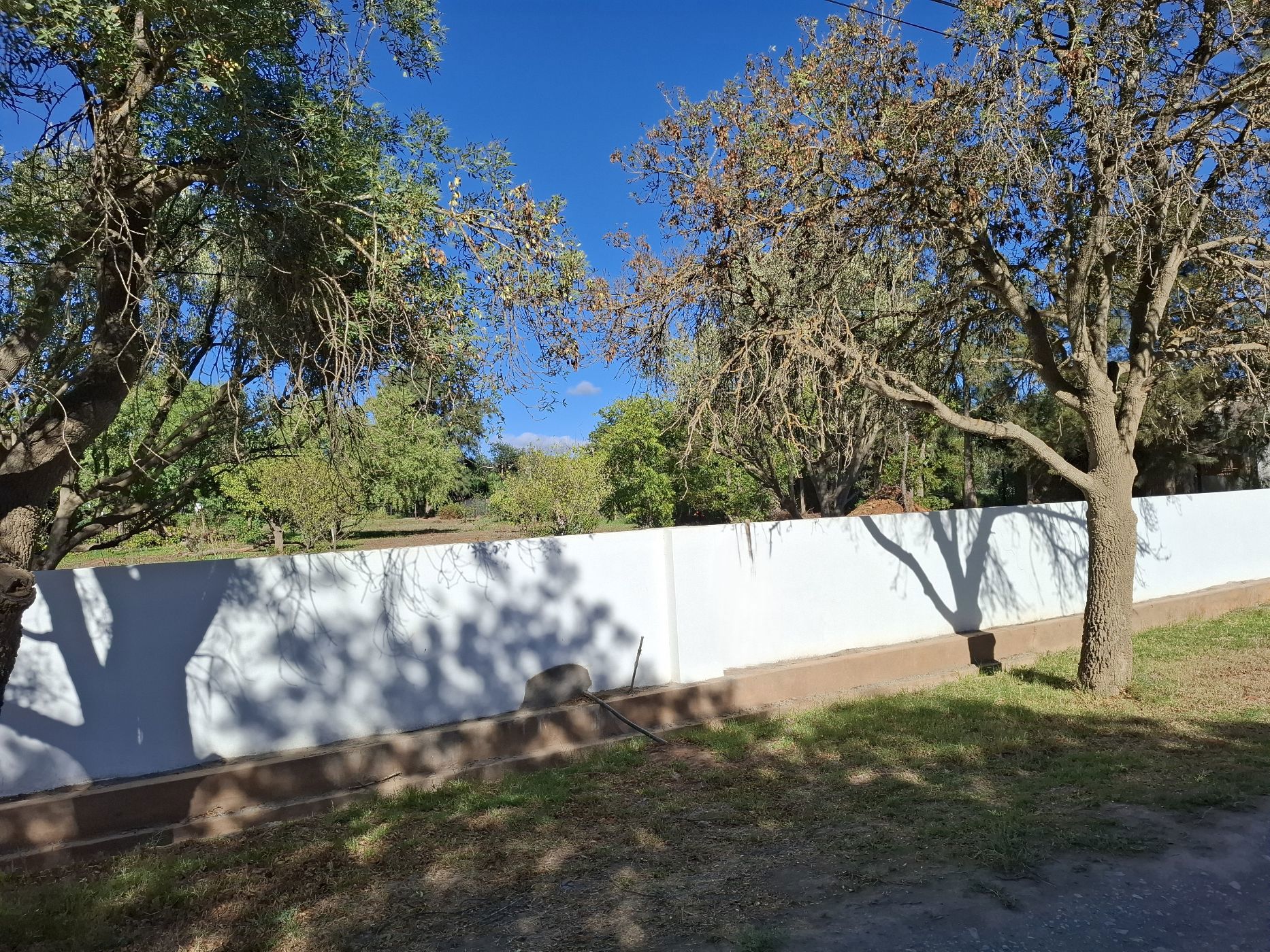 Vacant land for sale in McGregor - MG1695768