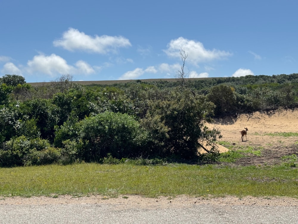 Residential vacant land sold in Cannon Rocks - 1KO1699232