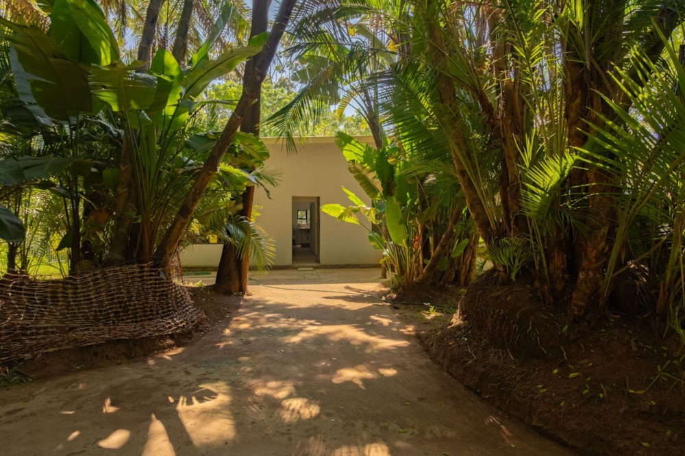 Smallholding for sale in St Michaels on Sea - 1PSH1694052