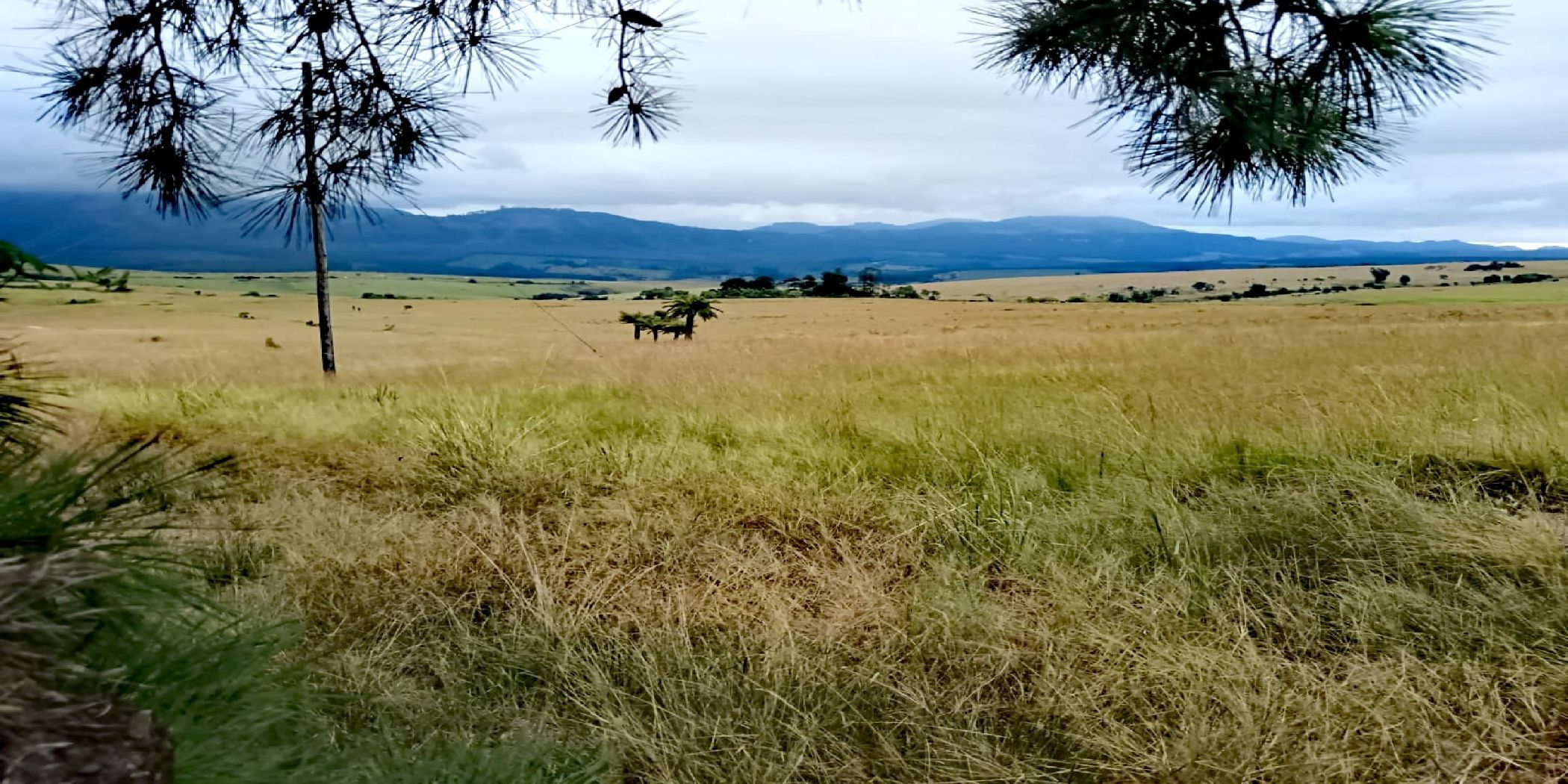 Vacant land for sale in Sabie - 1LY1694318