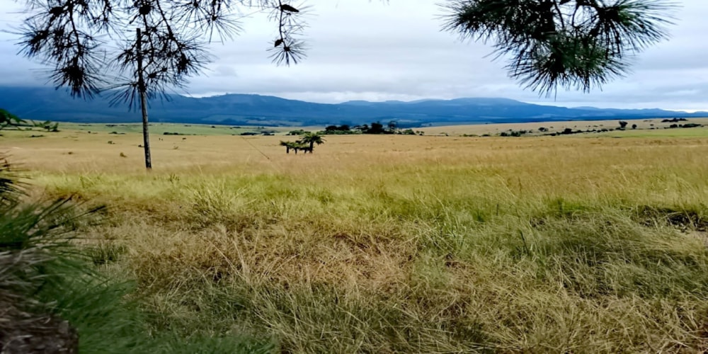 Vacant land for sale in Sabie - 1LY1694318