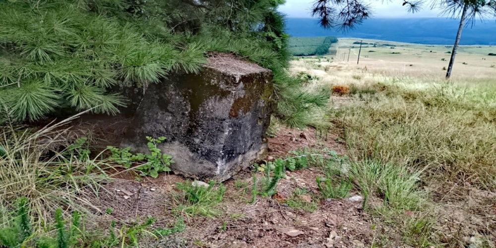 Vacant land for sale in Sabie - 1LY1694318