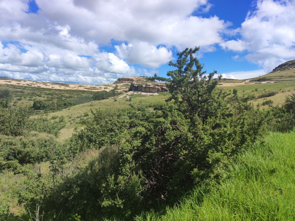 Vacant land for sale in Clarens - 1CS1692966 Vacant land for sale in Clarens - 1CS1692966