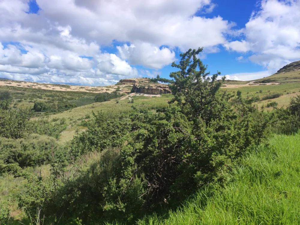 Vacant land sold in Clarens - 1CS1692966 Vacant land sold in Clarens - 1CS1692966